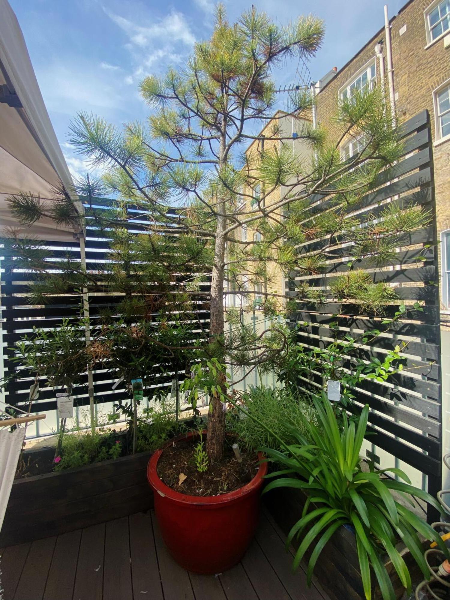 Luxury Belgrave Square Private Mews Townhouse Londres Exterior foto